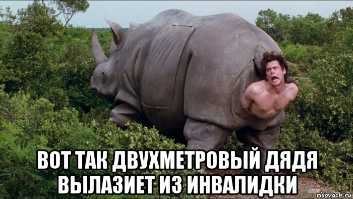  вот так двухметровый дядя вылазиет из инвалидки