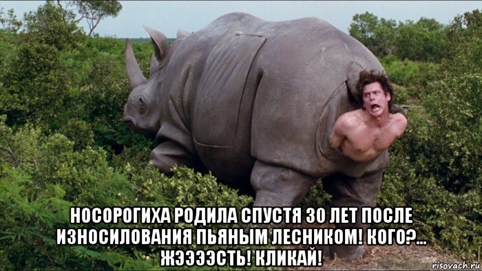 носорогиха родила спустя 30 лет после износилования пьяным лесником! кого?... жээээсть! кликай!