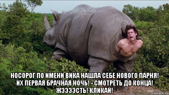  носорог по имени вика нашла себе нового парня! их первая брачная ночь! - смотреть до конца! жээээсть! кликай!