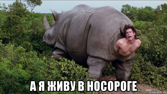  а я живу в носороге