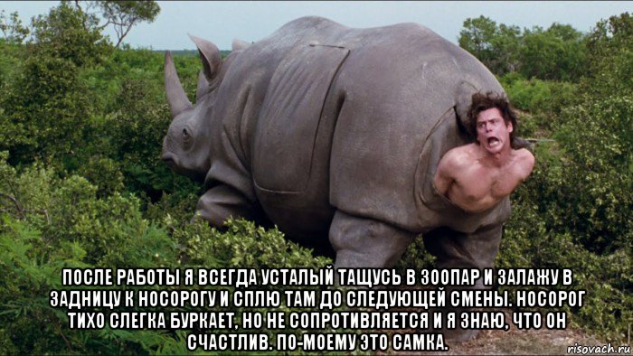  после работы я всегда усталый тащусь в зоопар и залажу в задницу к носорогу и сплю там до следующей смены. носорог тихо слегка буркает, но не сопротивляется и я знаю, что он счастлив. по-моему это самка.