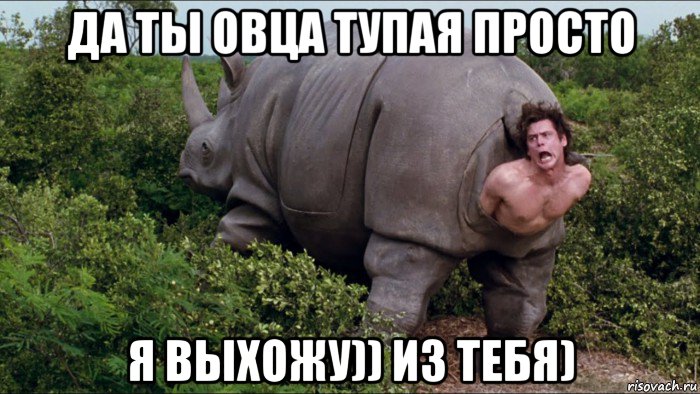 да ты овца тупая просто я выхожу)) из тебя)
