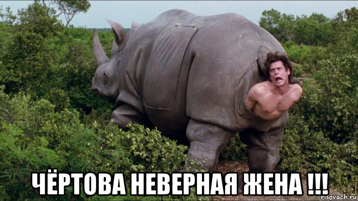  чёртова неверная жена !!!