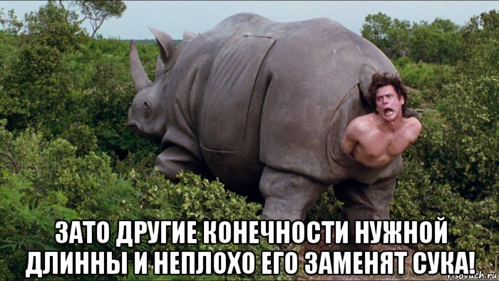  зато другие конечности нужной длинны и неплохо его заменят сука!