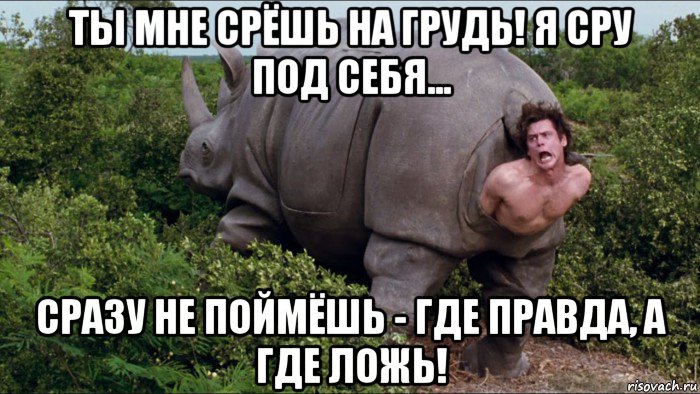 ты мне срёшь на грудь! я сру под себя... сразу не поймёшь - где правда, а где ложь!