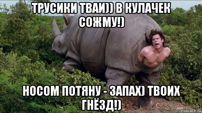 трусики тваи)) в кулачек сожму!) носом потяну - запах) твоих гнёзд!)