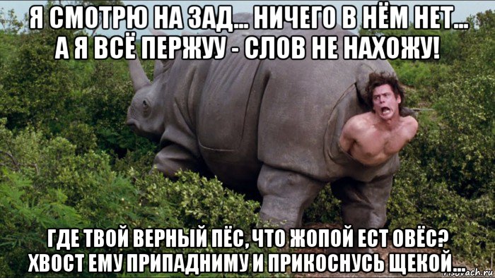 я смотрю на зад... ничего в нём нет... а я всё пержуу - слов не нахожу! где твой верный пёс, что жопой ест овёс? хвост ему припадниму и прикоснусь щекой...