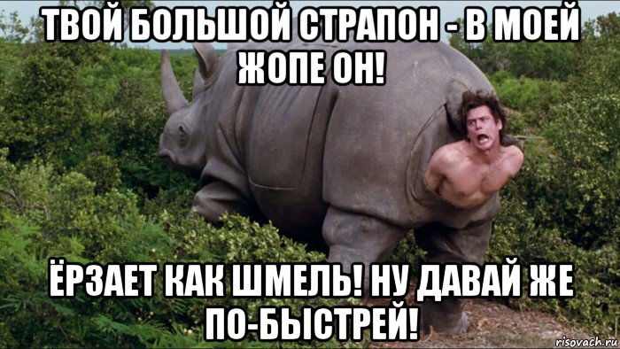 твой большой страпон - в моей жопе он! ёрзает как шмель! ну давай же по-быстрей!