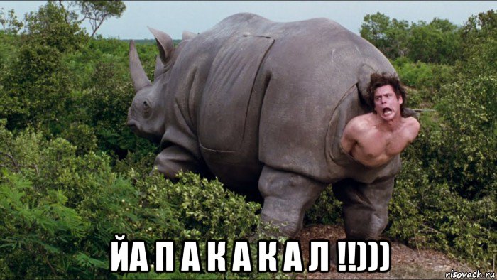 йа п а к а к а л !!)))