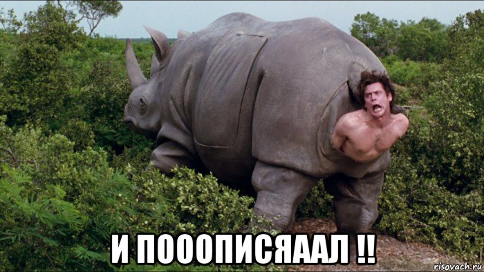  и пооописяаал !!