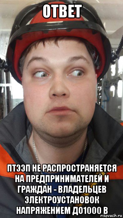 ответ птээп не распространяется на предпринимателей и граждан - владельцев электроустановок напряжением до1000 в
