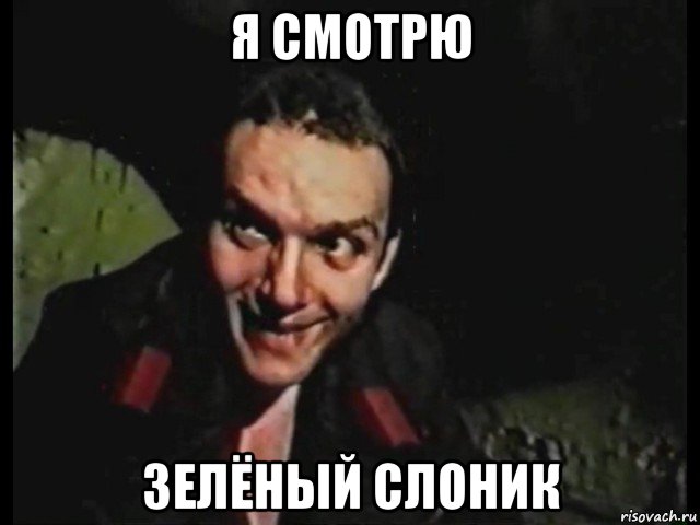 я смотрю зелёный слоник
