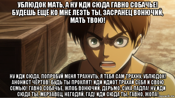 ублюдок мать, а ну иди сюда гавно собачье! будешь ещё ко мне лезть ты, засранец вонючий, мать твою! ну иди сюда, попробуй меня трахнуть, я тебя сам трахну, ублюдок! анонист чёртов! будь ты проклят! иди идиот трахай себя и свою семью! гавно собачье, жлоб вонючий, дерьмо, сука падла! ну иди сюда ты, мерзавец, негодяй, гад! иди сюда ты, гавно, жопа!, Мем Эрен