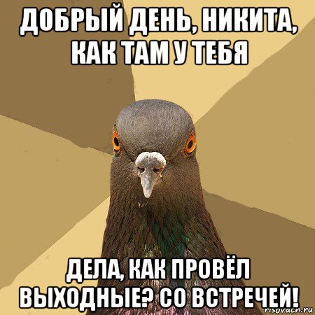 добрый день, никита, как там у тебя дела, как провёл выходные? со встречей!