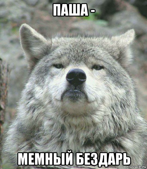 паша - мемный бездарь, Мем    Гордый волк