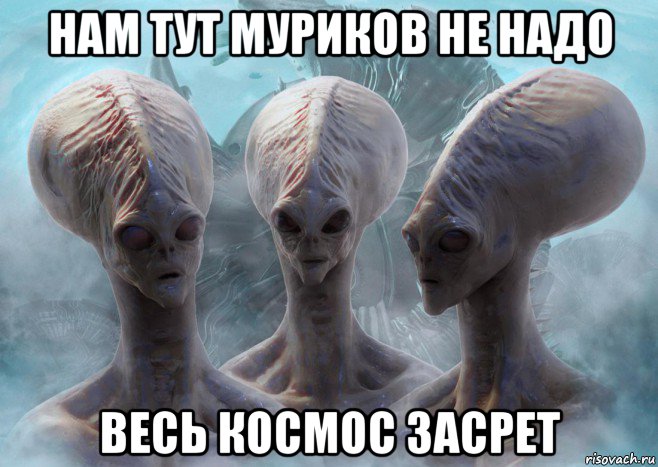 нам тут муриков не надо весь космос засрет
