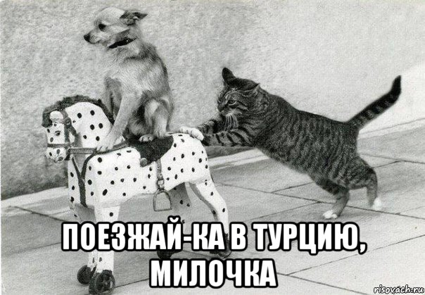  поезжай-ка в турцию, милочка