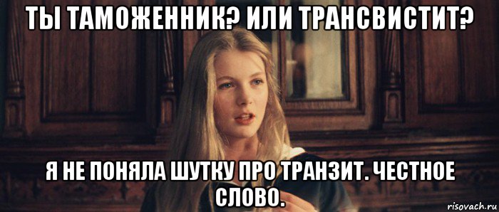 ты таможенник? или трансвистит? я не поняла шутку про транзит. честное слово.