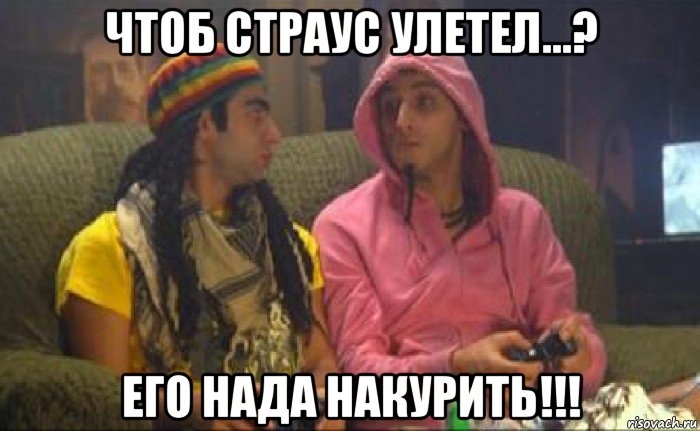 чтоб страус улетел...? его нада накурить!!!