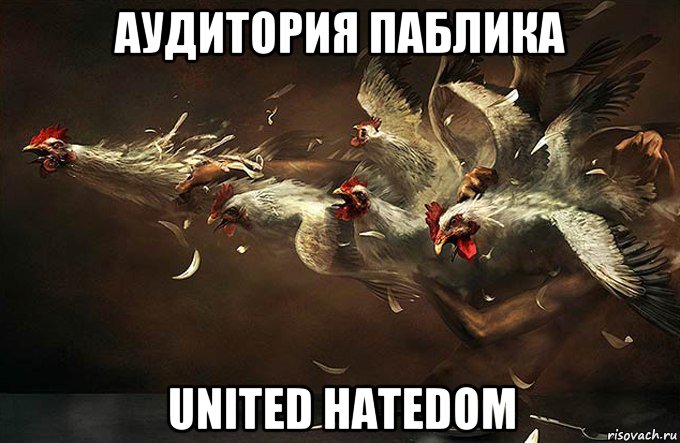 аудитория паблика united hatedom