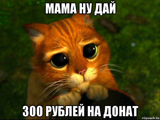 мама ну дай 300 рублей на донат, Мем кот из шрека
