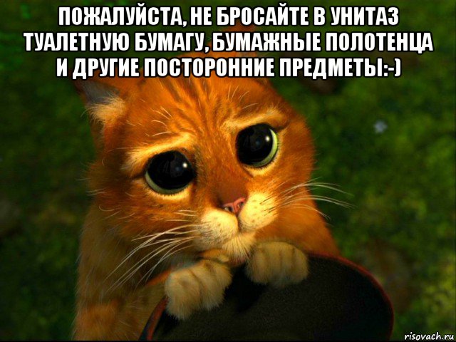 пожалуйста, не бросайте в унитаз туалетную бумагу, бумажные полотенца и другие посторонние предметы:-) 