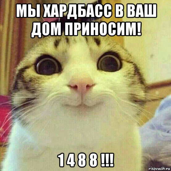 мы хардбасс в ваш дом приносим! 1 4 8 8 !!!, Мем       Котяка-улыбака