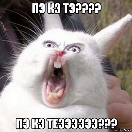 пэ кэ тэ???? пэ кэ теээээээ???