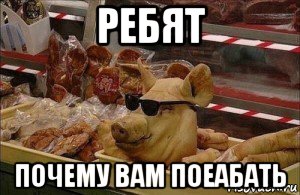 ребят почему вам поеабать