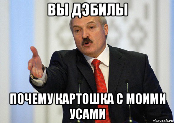 вы дэбилы почему картошка с моими усами, Мем лукашенко