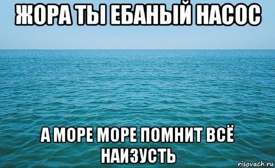 жора ты ебаный насос а море море помнит всё наизусть, Мем Море