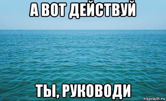 а вот действуй ты, руководи, Мем Море