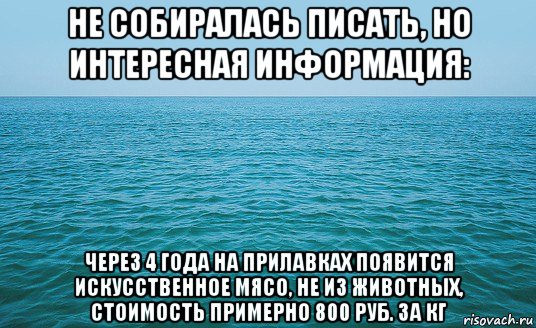 не собиралась писать, но интересная информация: через 4 года на прилавках появится искусственное мясо, не из животных, стоимость примерно 800 руб. за кг, Мем Море