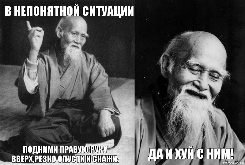 В непонятной ситуации подними правую руку вверх,резко опусти и скажи:  Да и хуй с ним!, Комикс Мудрец-монах (4 зоны)