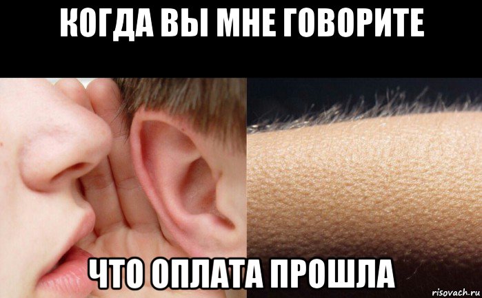 когда вы мне говорите что оплата прошла