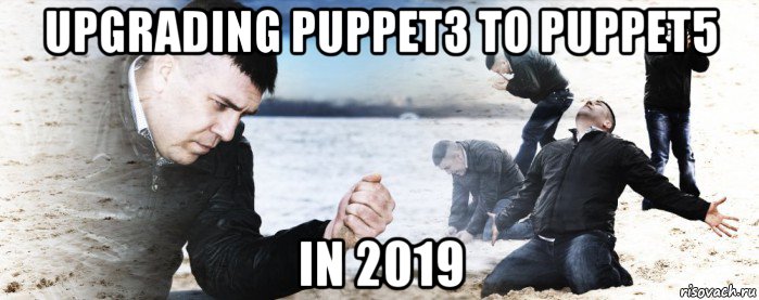 upgrading puppet3 to puppet5 in 2019, Мем Мужик сыпет песок на пляже
