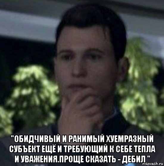  "обидчивый и ранимый хуемразный субъект ещё и требующий к себе тепла и уважения.проще сказать - дебил "