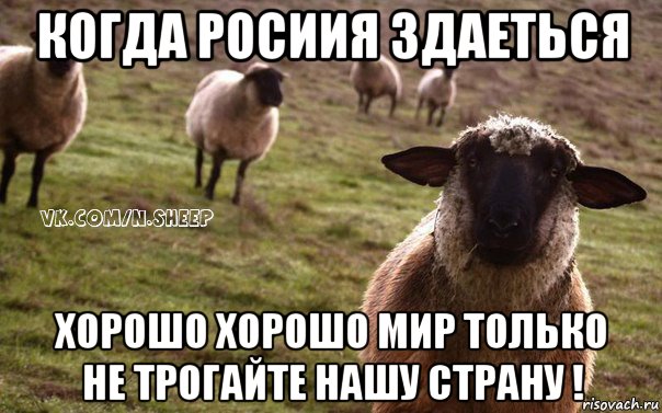 когда росиия здаеться хорошо хорошо мир только не трогайте нашу страну !, Мем  Наивная Овца