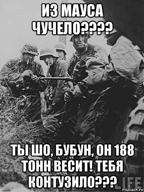 из мауса чучело???? ты шо, бубун, он 188 тонн весит! тебя контузило???, Мем Немецкие солдаты