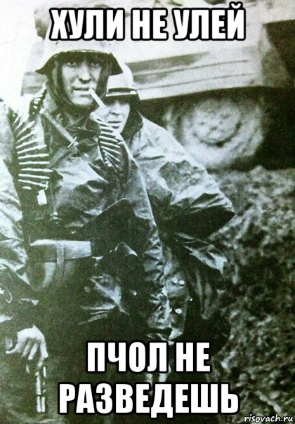 хули не улей пчол не разведешь