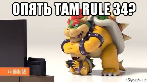 опять там rule 34? , Мем Ни сматри боузер