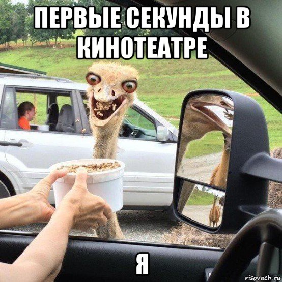первые секунды в кинотеатре я