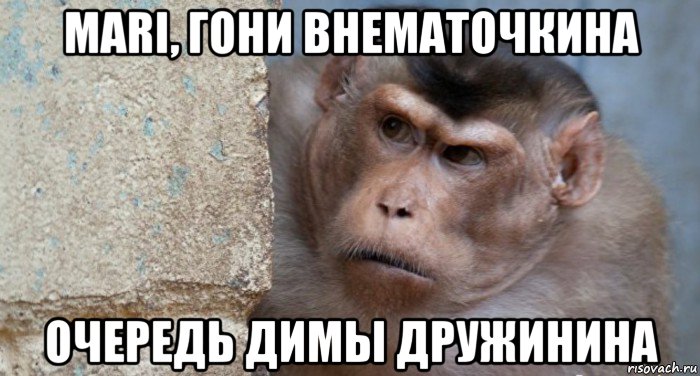 mari, гони внематочкина очередь димы дружинина