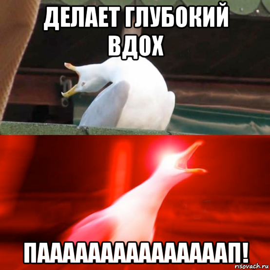 делает глубокий вдох пааааааааааааааап!
