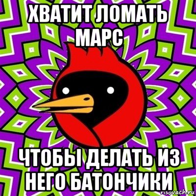 хватит ломать марс чтобы делать из него батончики, Мем Омская птица