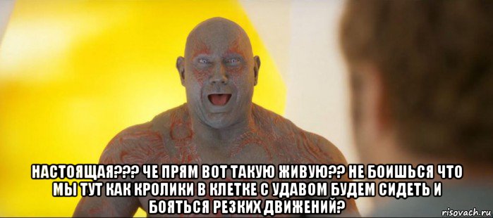  настоящая??? че прям вот такую живую?? не боишься что мы тут как кролики в клетке с удавом будем сидеть и бояться резких движений?