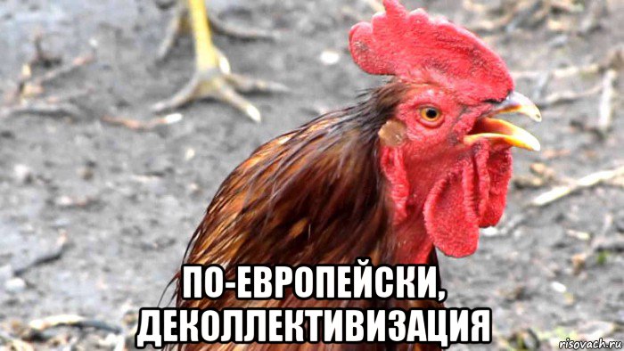  по-европейски, деколлективизация