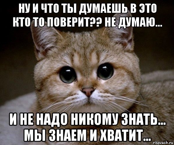 ну и что ты думаешь в это кто то поверит?? не думаю... и не надо никому знать... мы знаем и хватит..., Мем Пидрила Ебаная