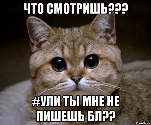 что смотришь??? #ули ты мне не пишешь бл??, Мем Пидрила Ебаная