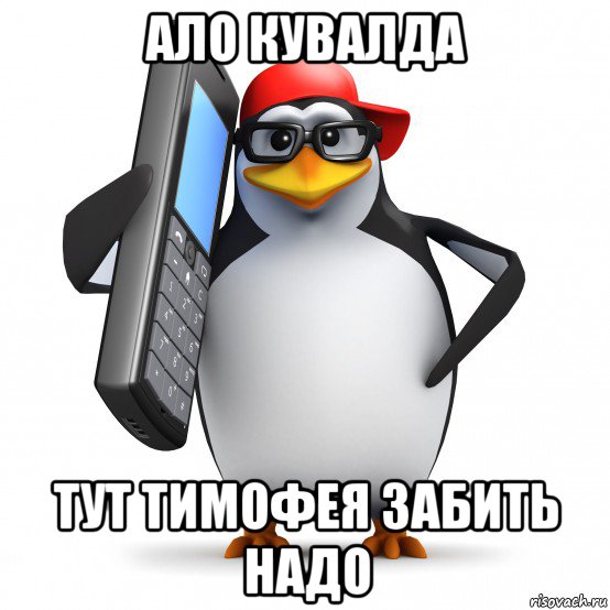 ало кувалда тут тимофея забить надо, Мем   Пингвин звонит